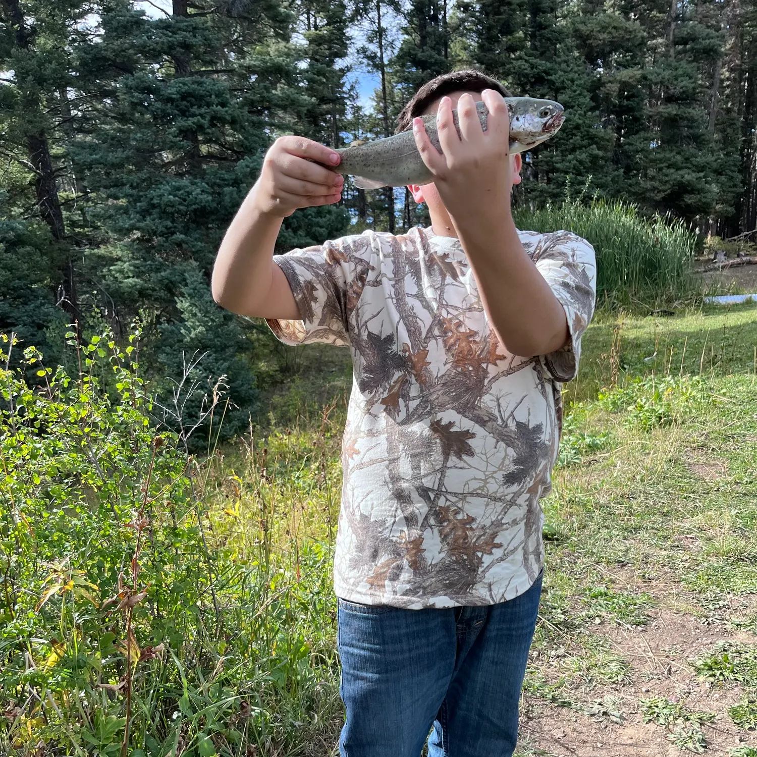 Rainbow trout caught on Fishbrain