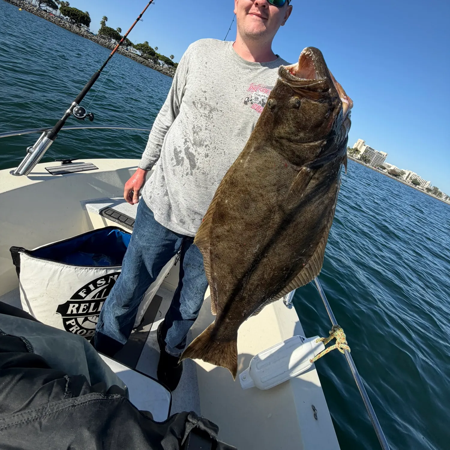 The most recent California halibut catches on Fishbrain