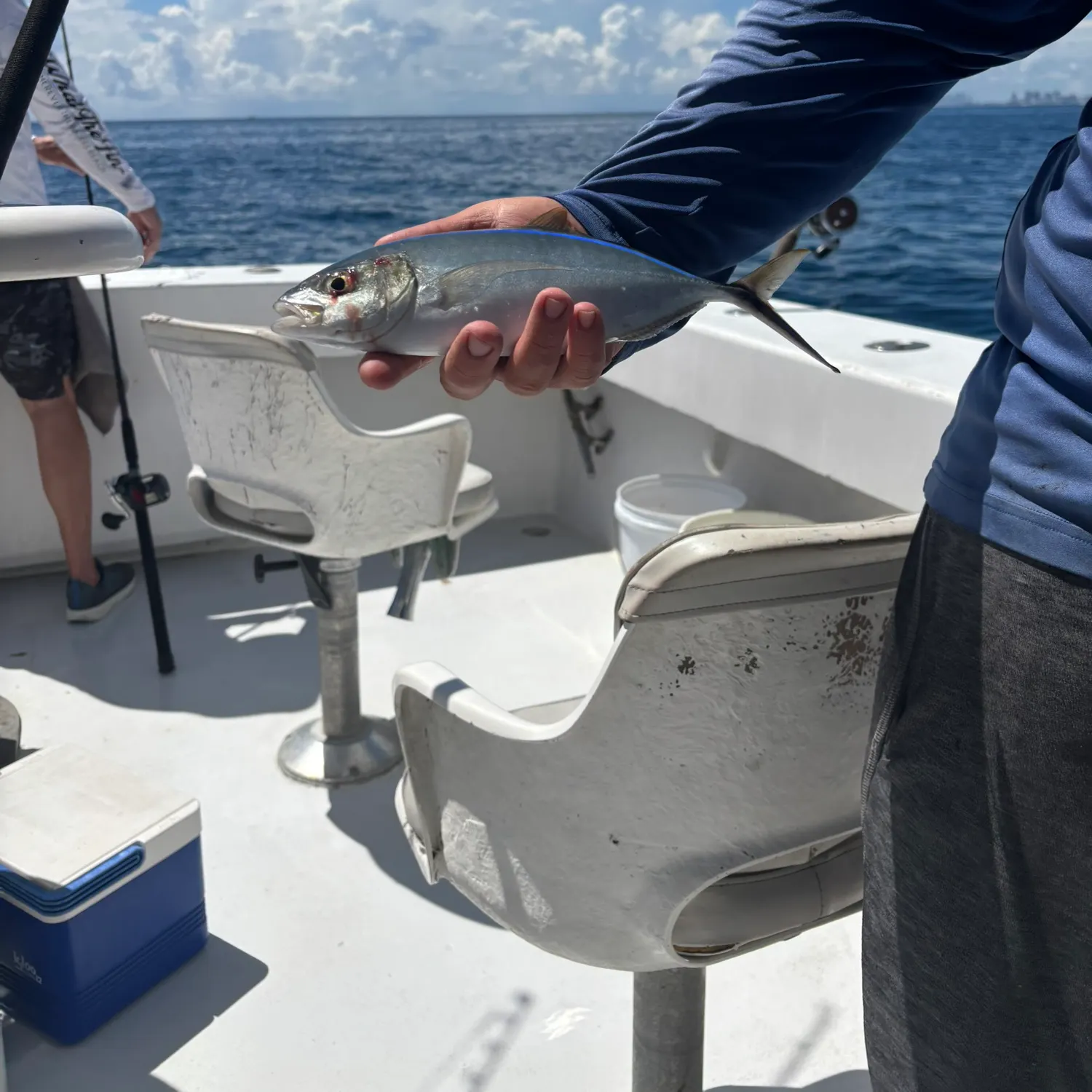 The most recent Rainbow runner catches on Fishbrain