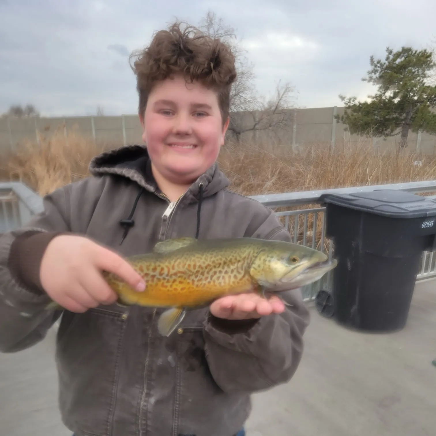 The most recent Tiger trout catches on Fishbrain