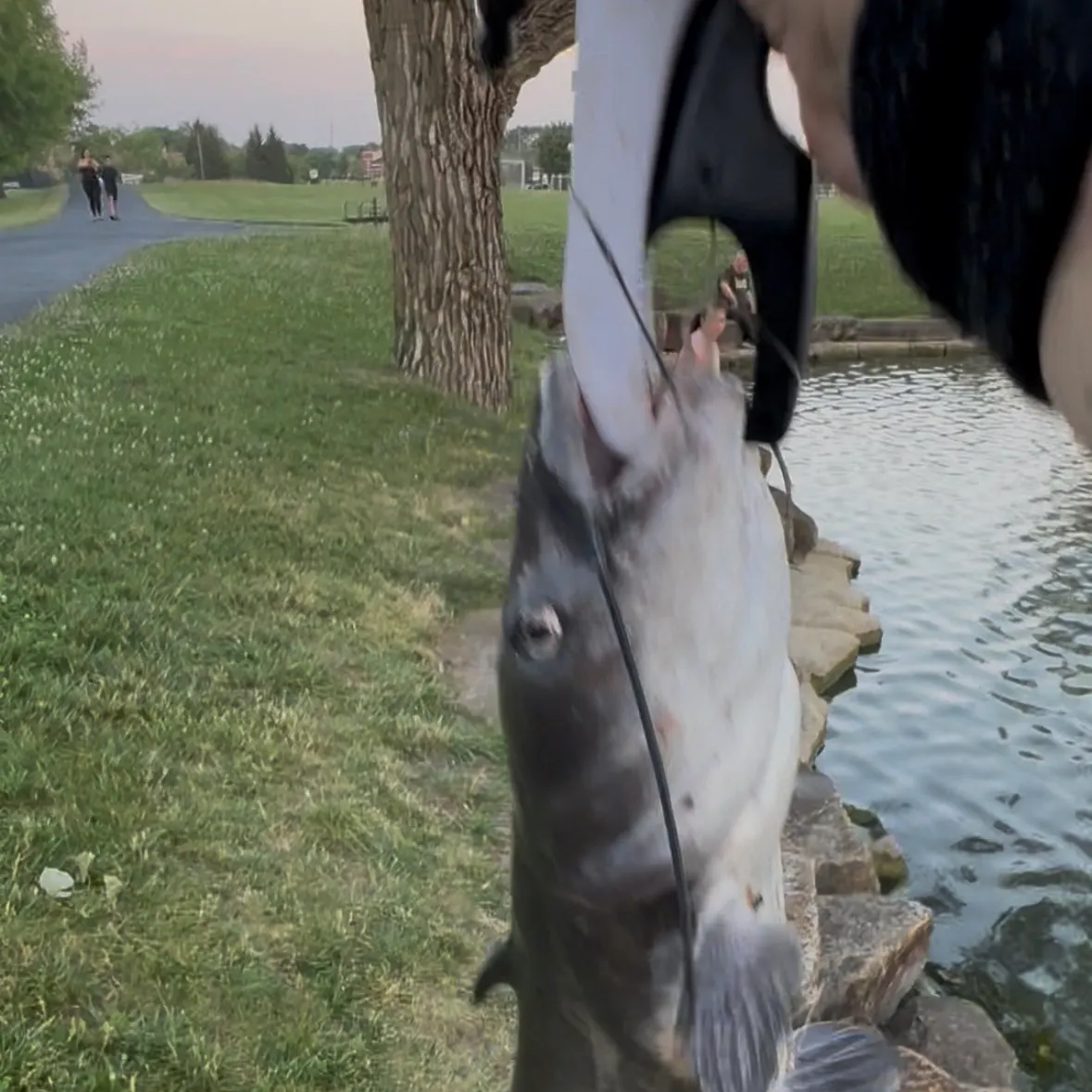 catch