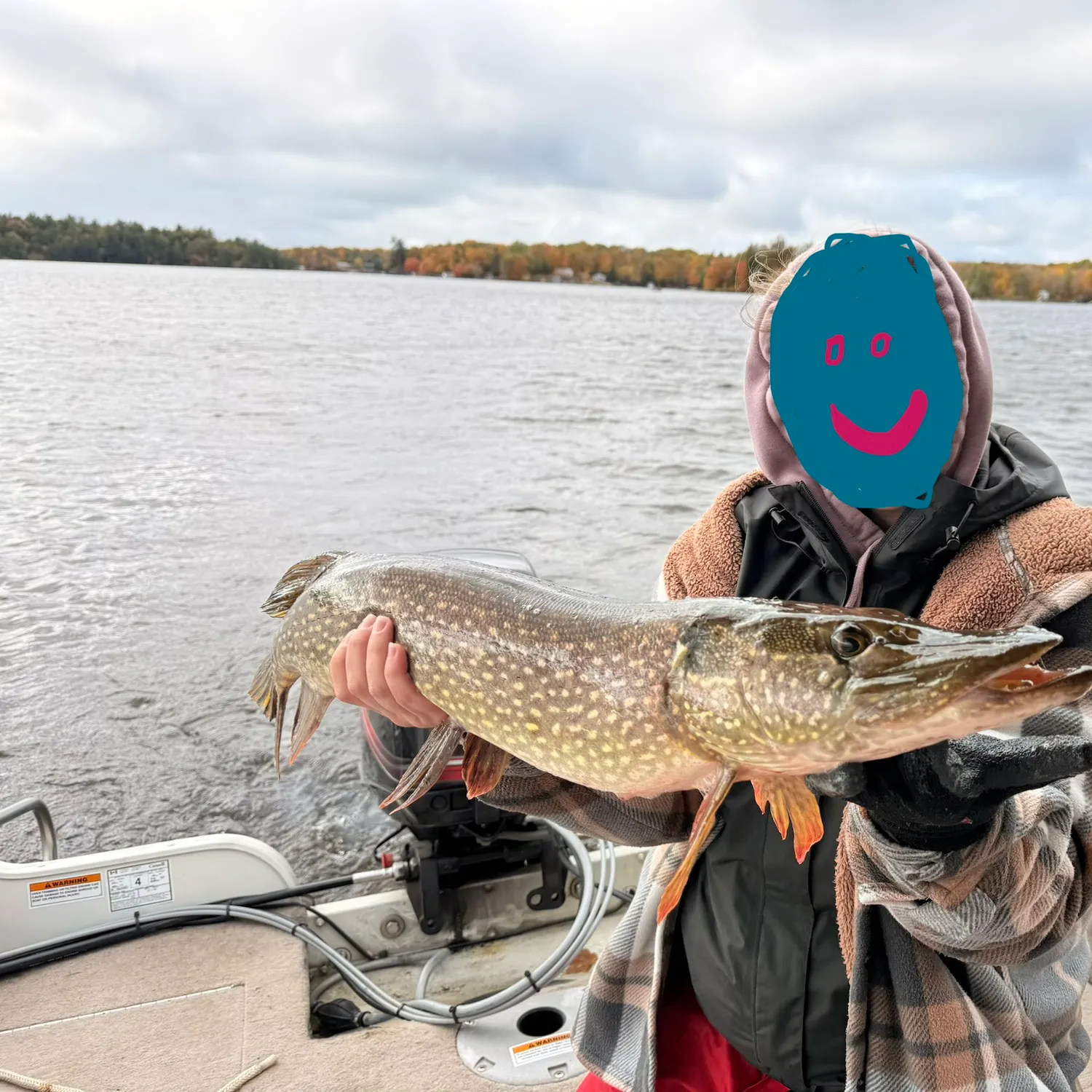 Northern pike caught on Fishbrain
