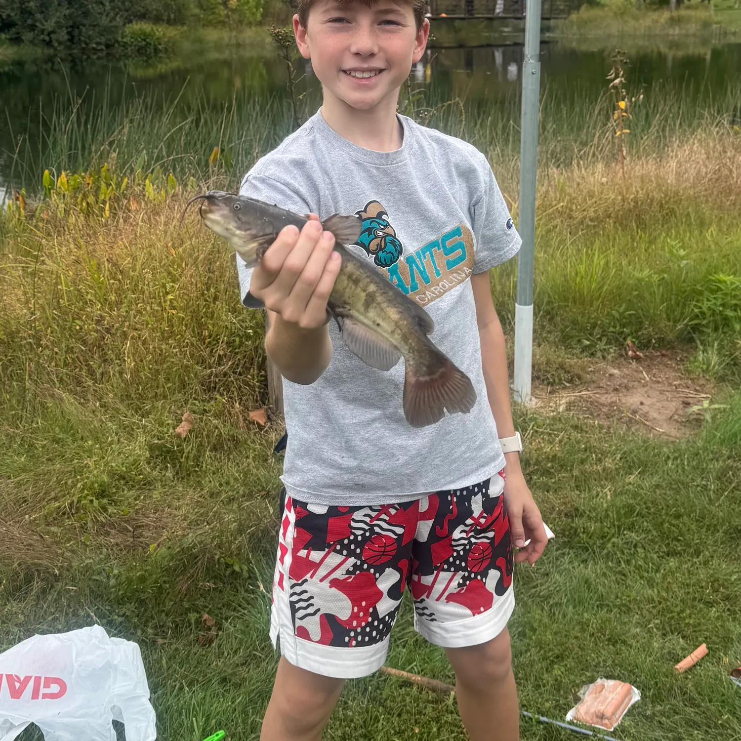 Brown bullhead caught on Fishbrain