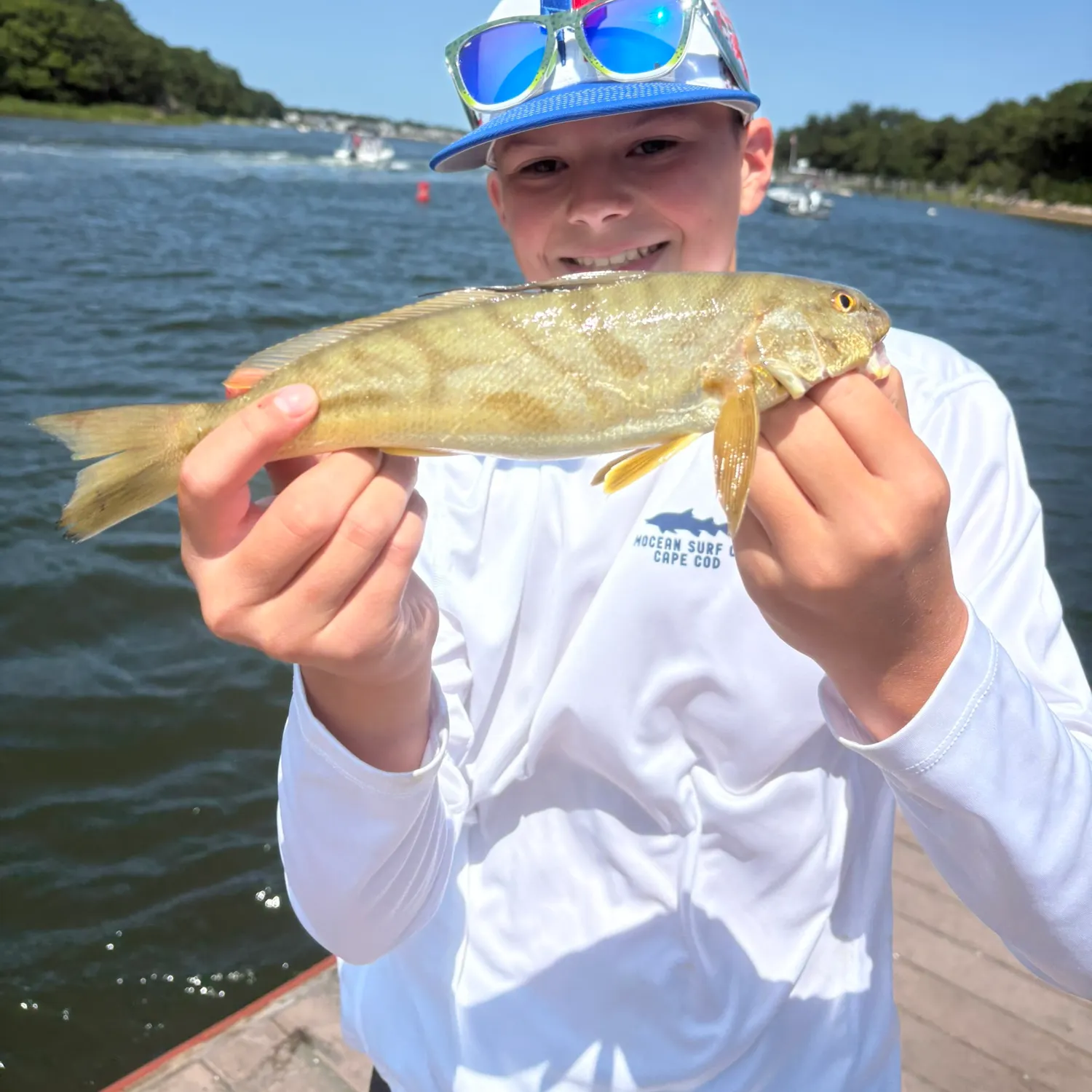 The most recent Northern kingcroaker catches on Fishbrain