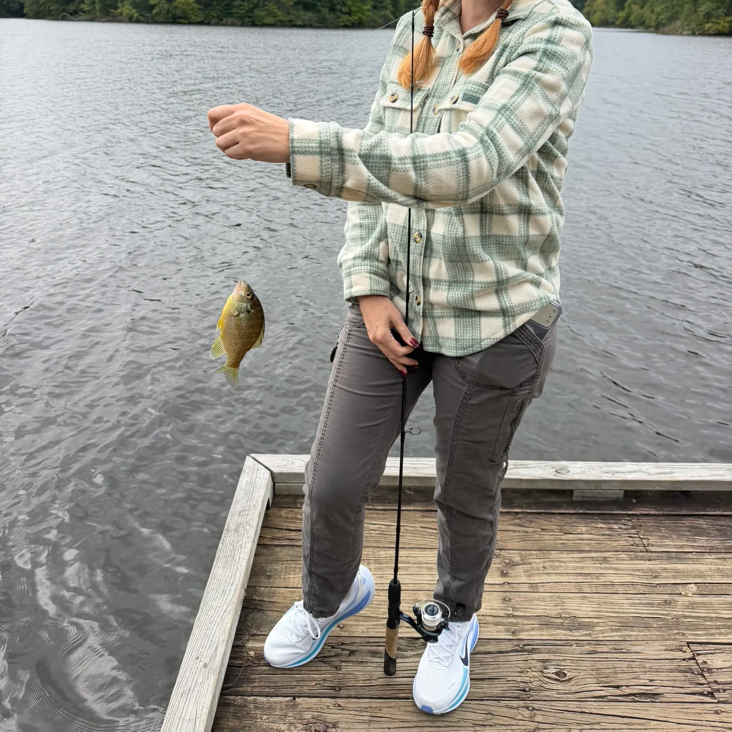 Bluegill caught on Fishbrain