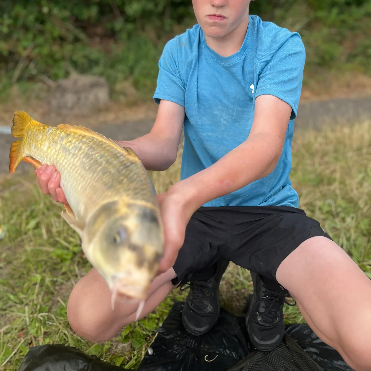 The most recent Koi x common carp catches on Fishbrain