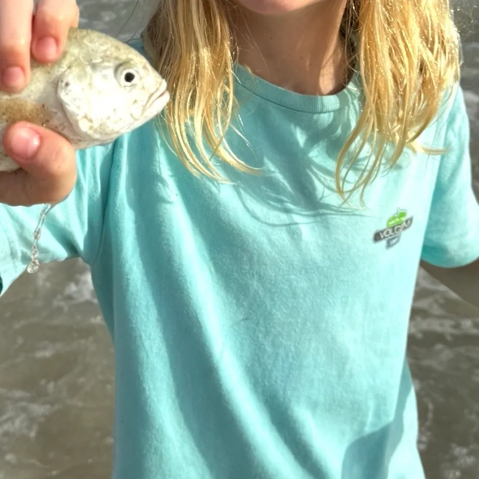 Yellow jack caught on Fishbrain