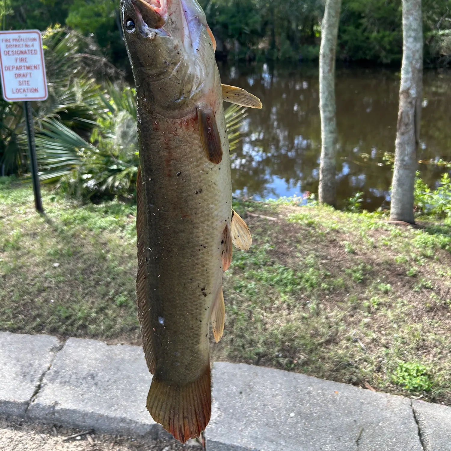 catch