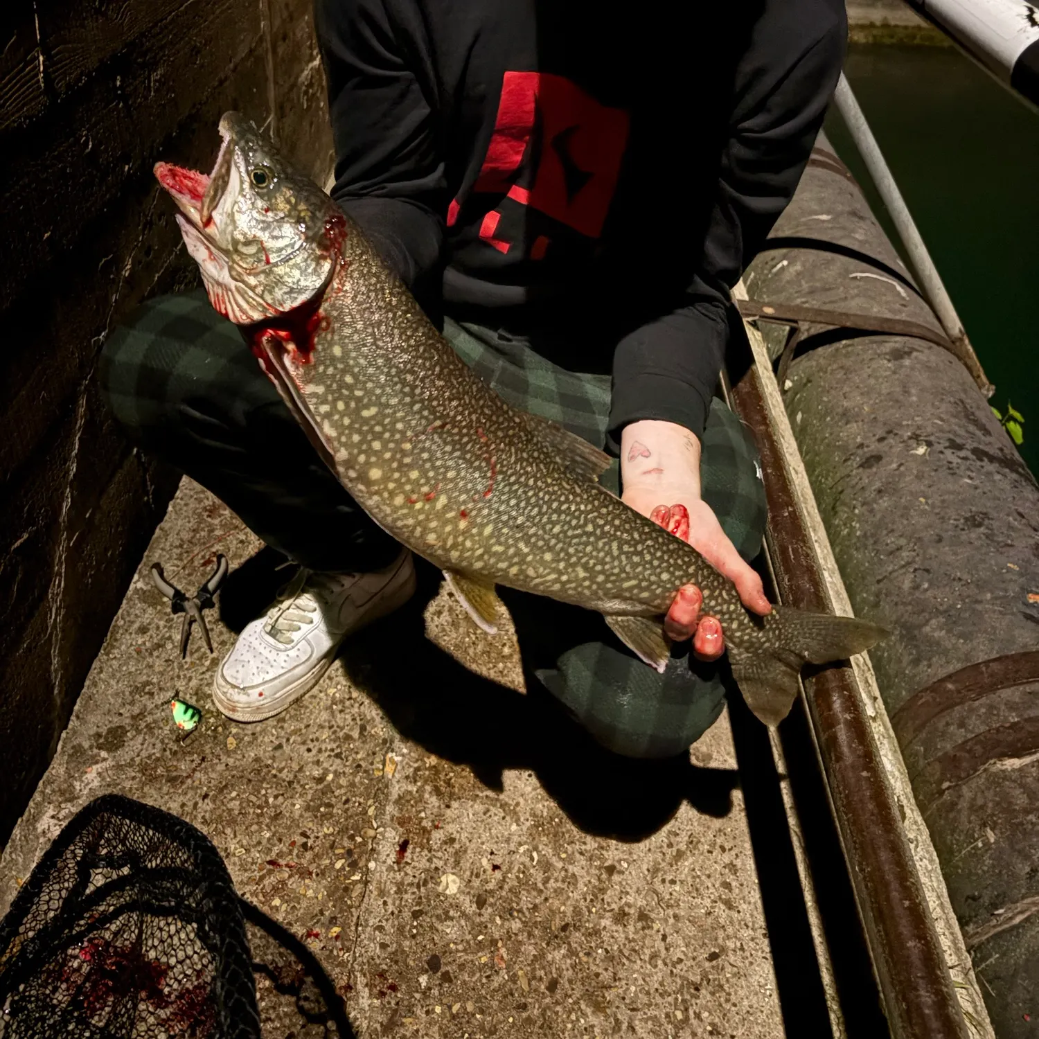 Lake char caught on Fishbrain