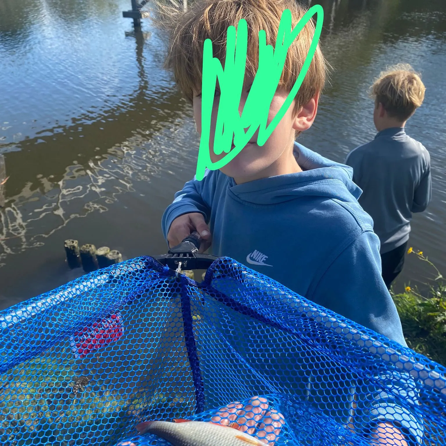 Common roach caught on Fishbrain