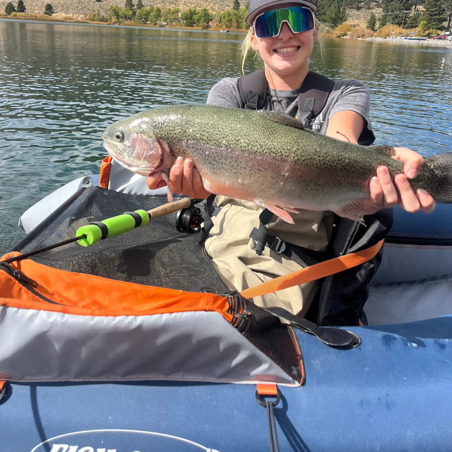 Rainbow trout caught on Fishbrain