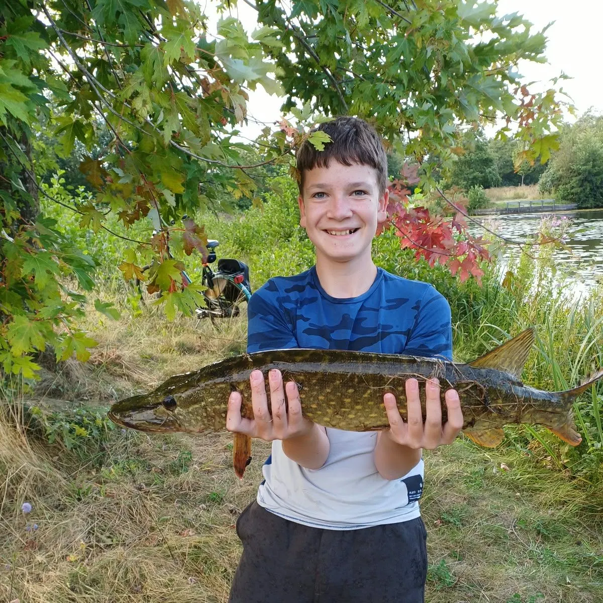 Northern pike caught on Fishbrain