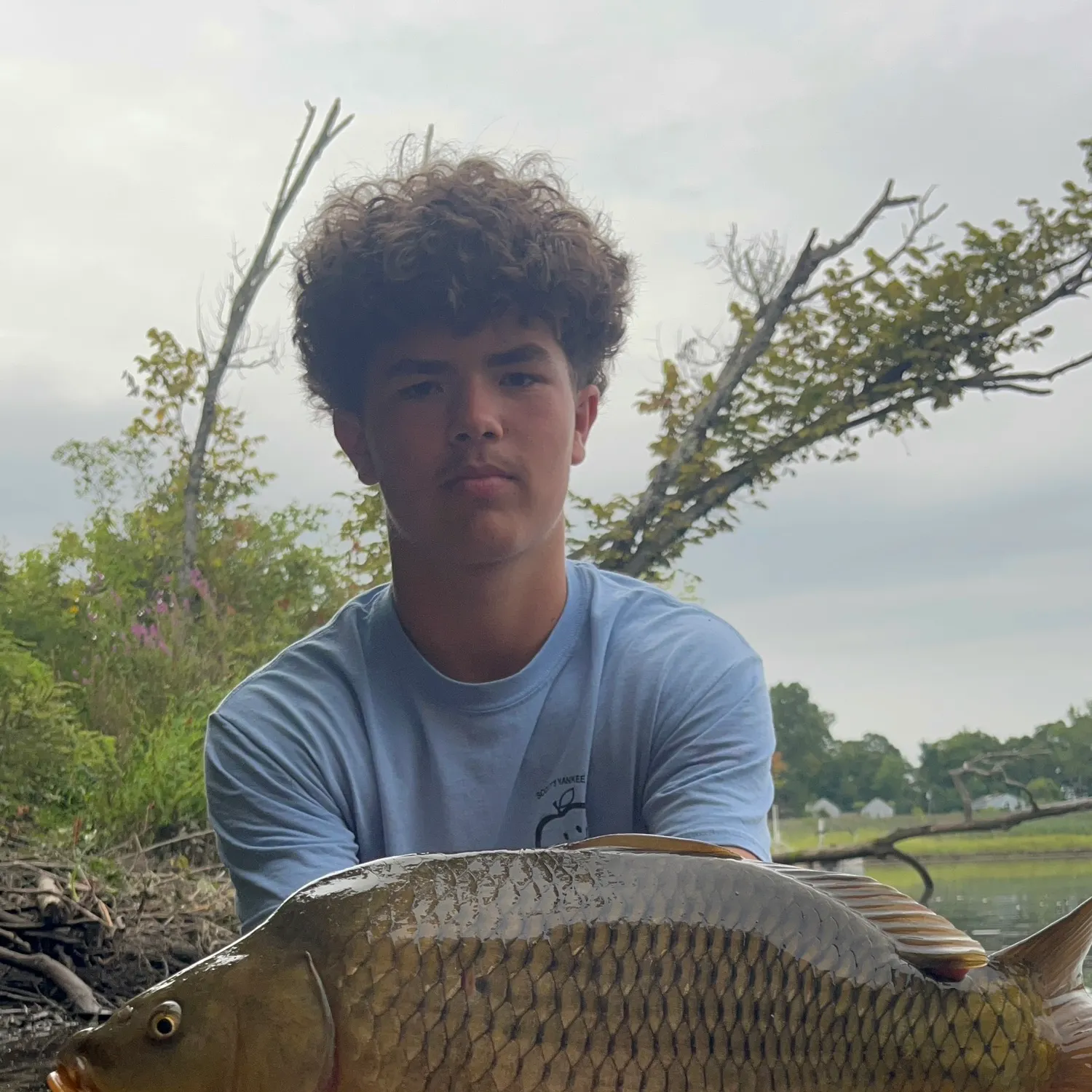 Common carp caught on Fishbrain