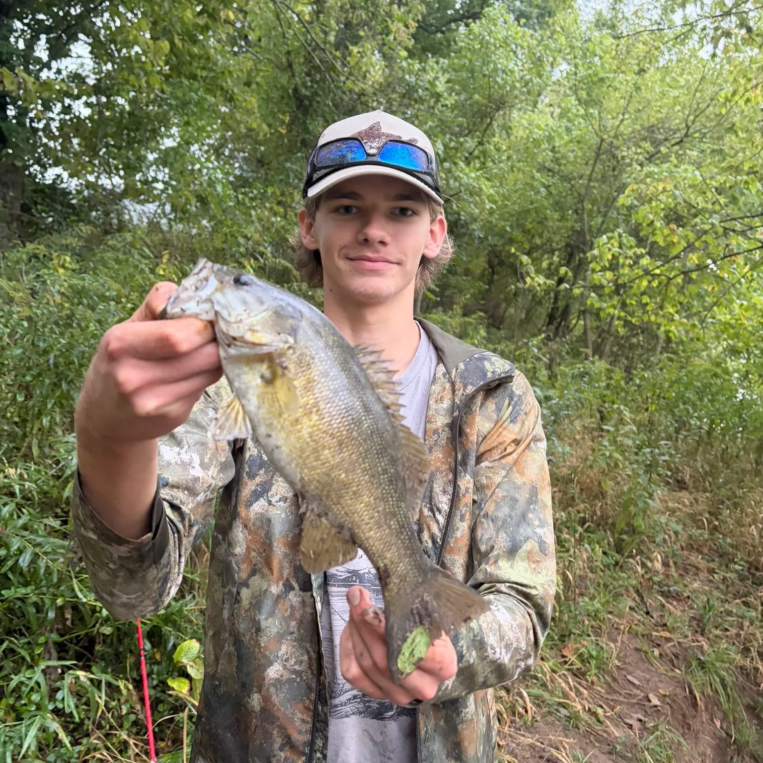 Smallmouth bass caught on Fishbrain