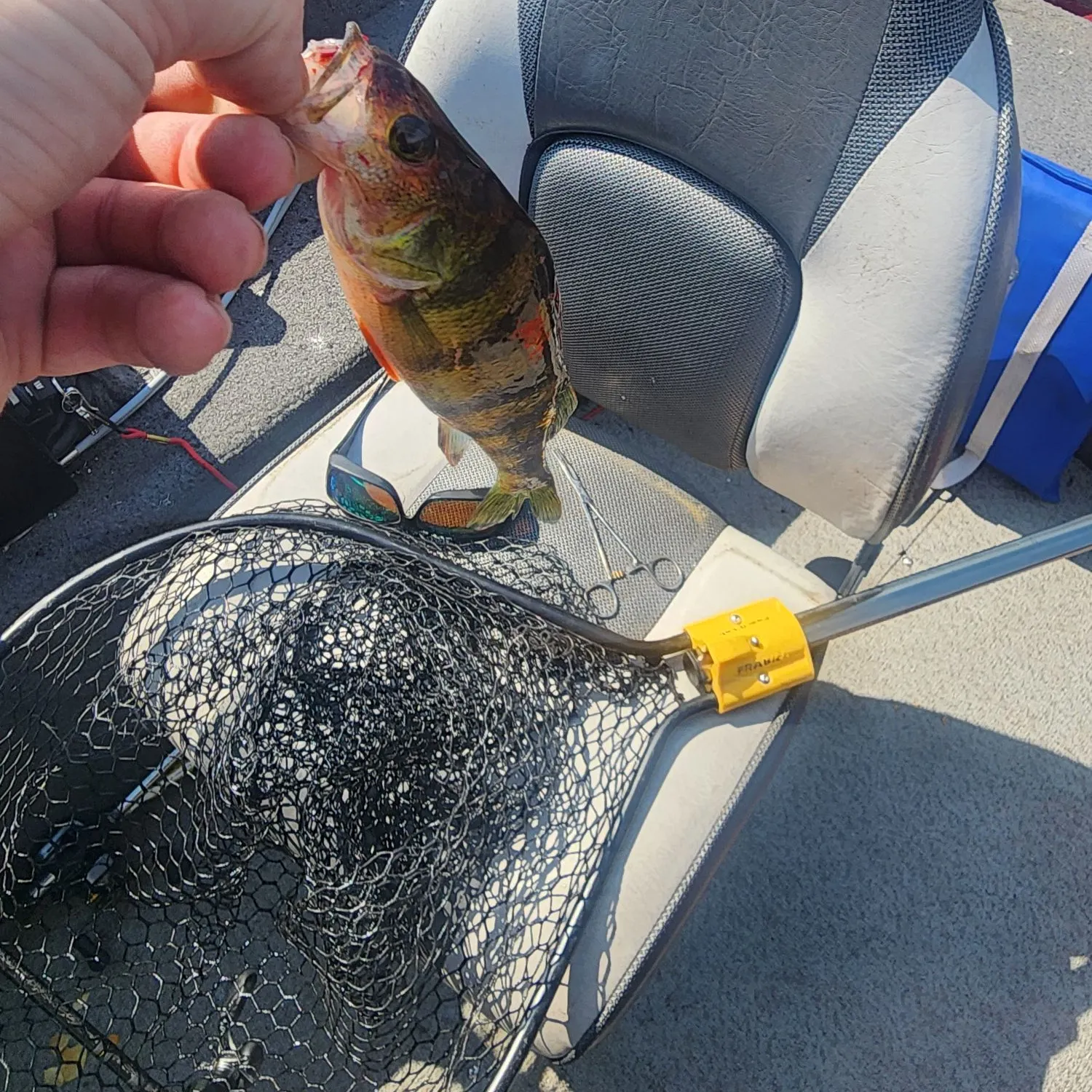 catch