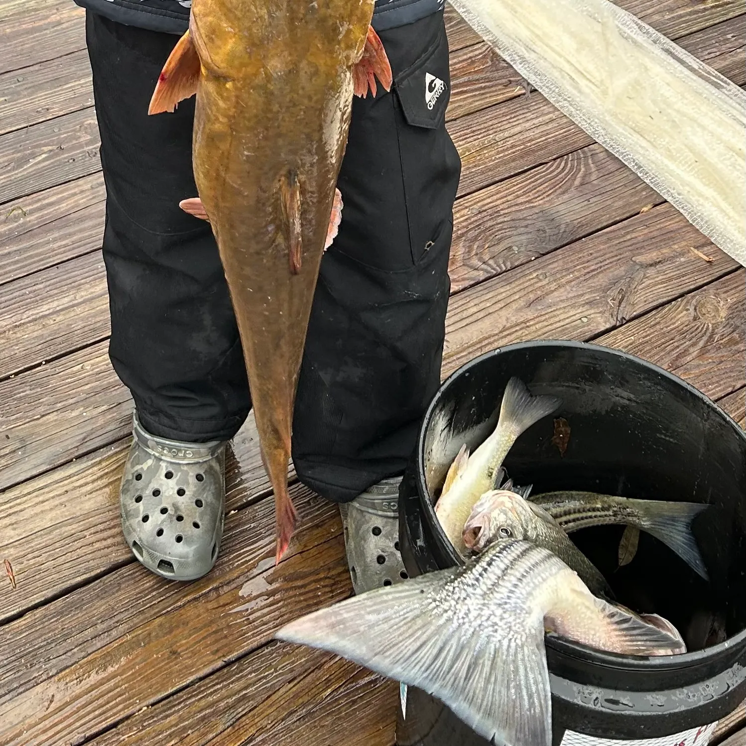 catch
