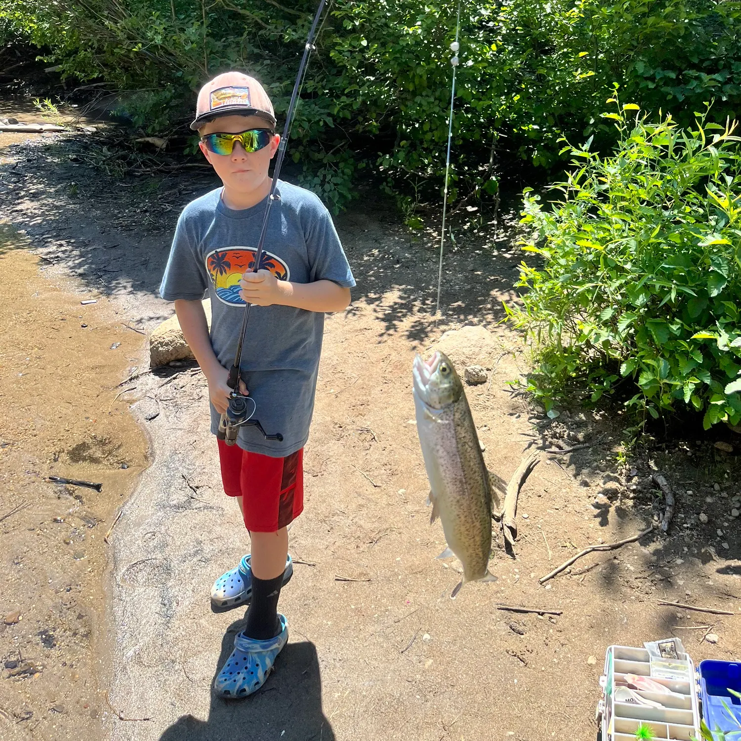 Rainbow trout caught on Fishbrain