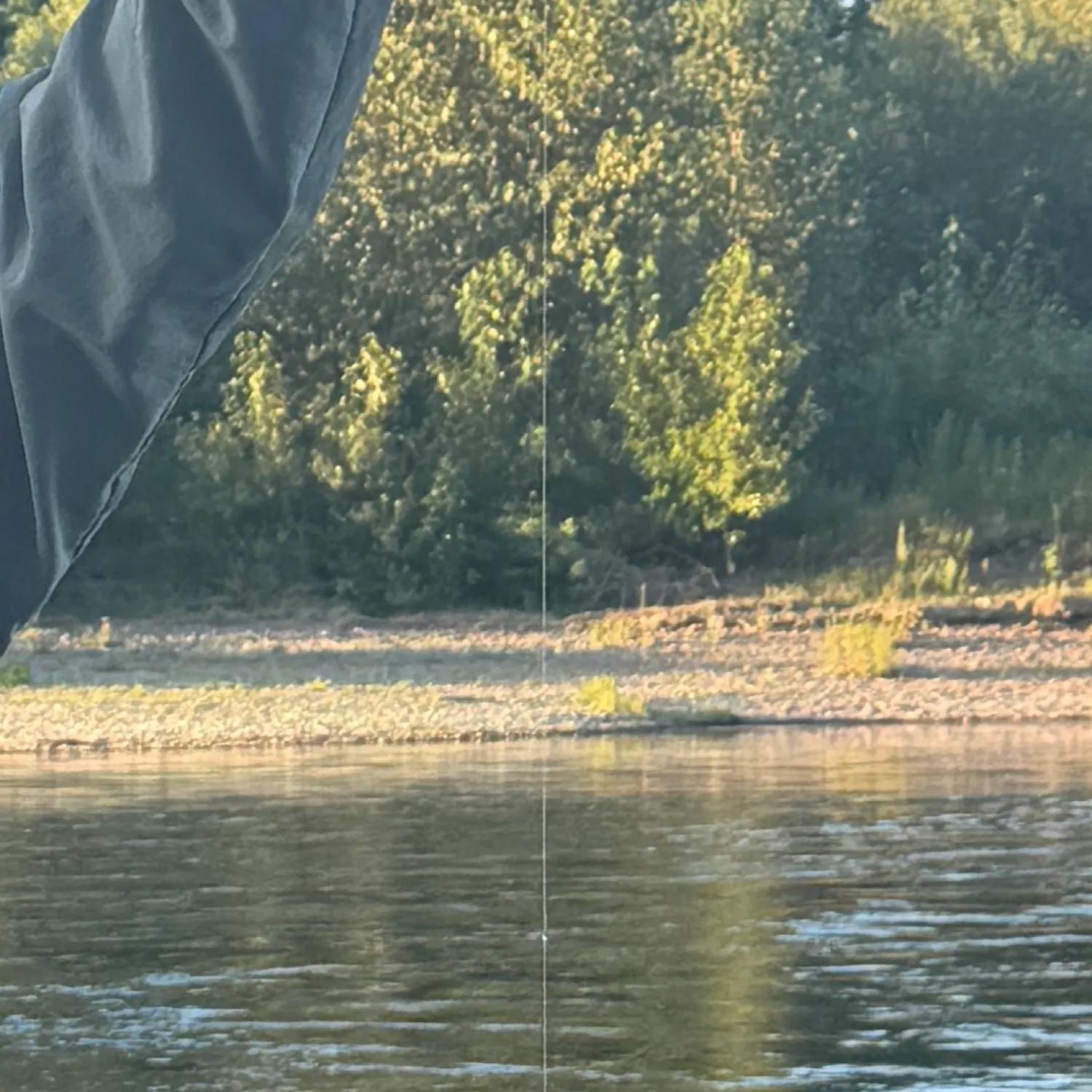 The most recent Smallmouth bass catches on Fishbrain