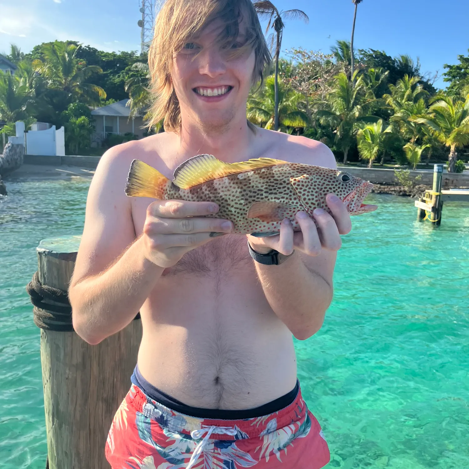 The most recent Red hind grouper catches on Fishbrain