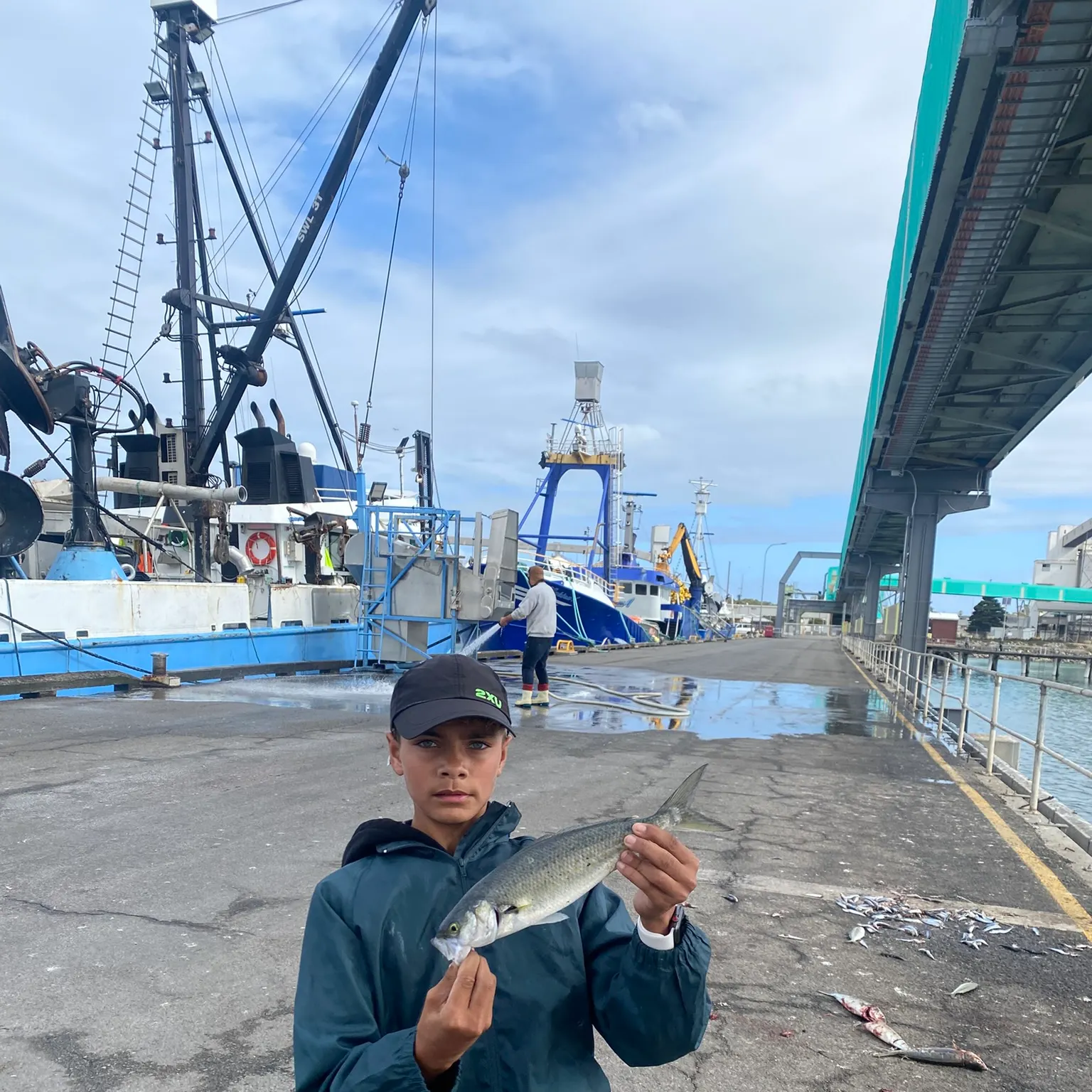 The most recent Western Australian salmon catches on Fishbrain