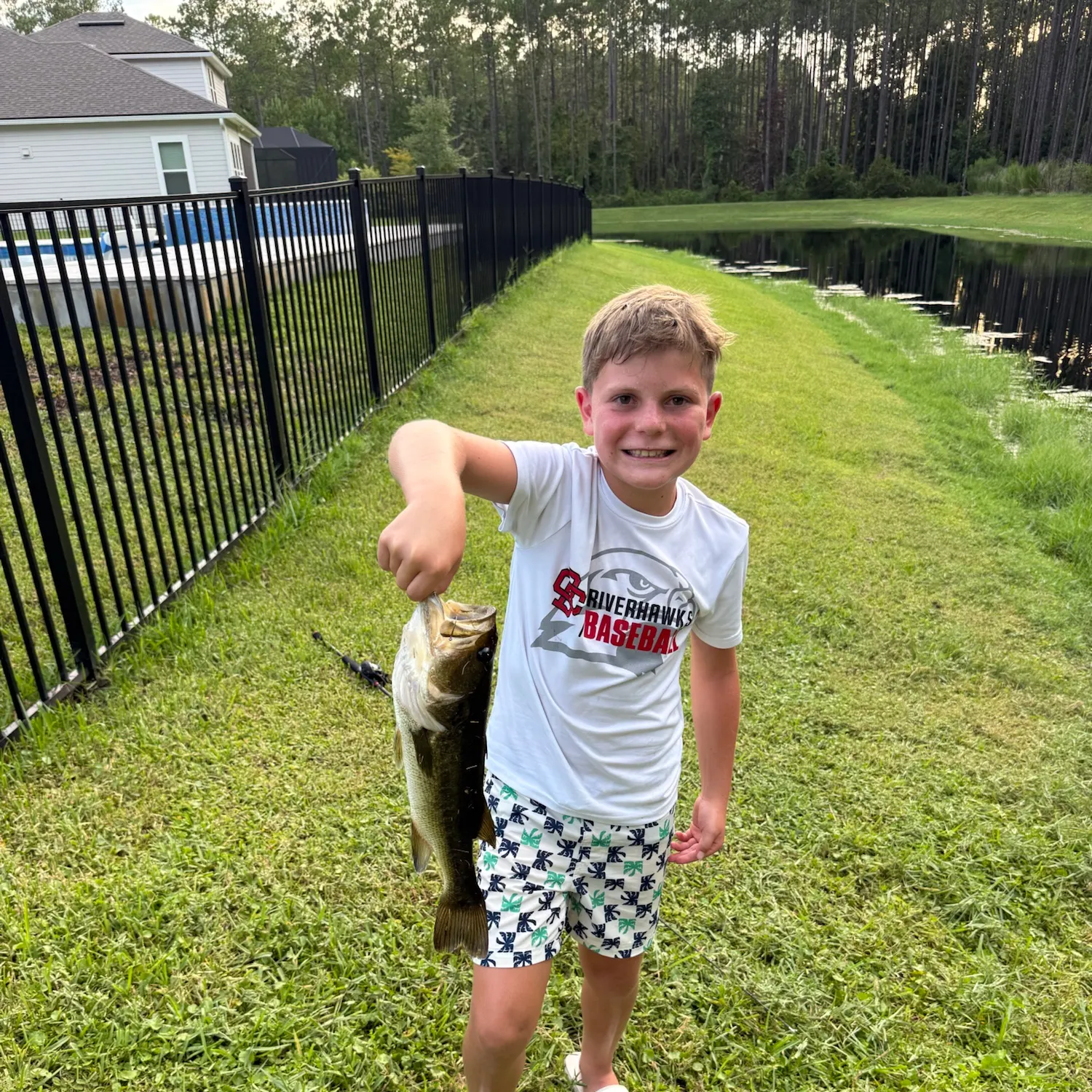 The most recent Grass carp catches on Fishbrain