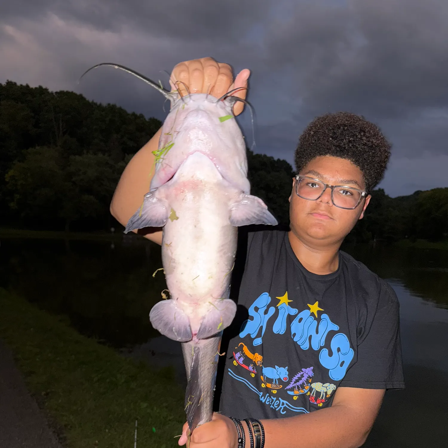 Blue catfish caught on Fishbrain