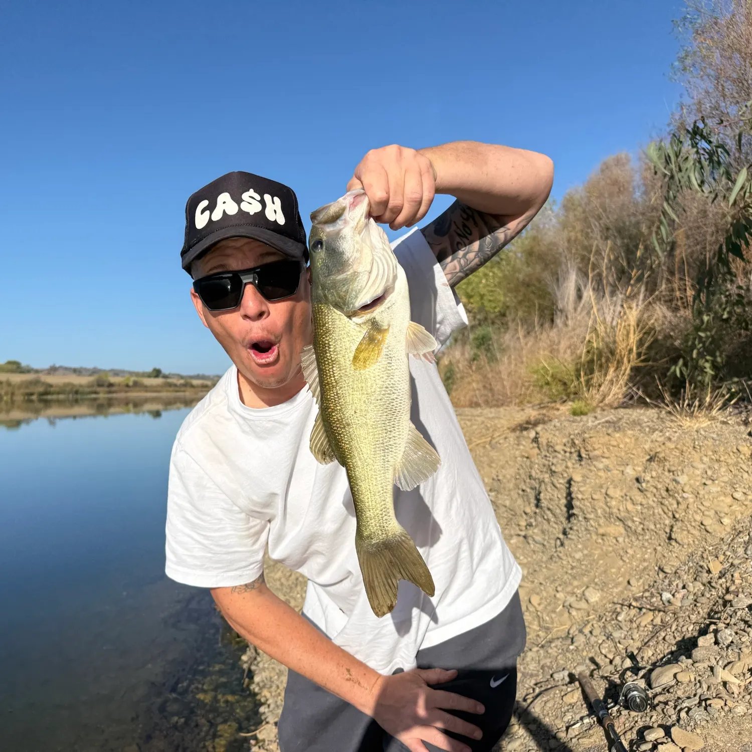 Largemouth bass caught on Fishbrain