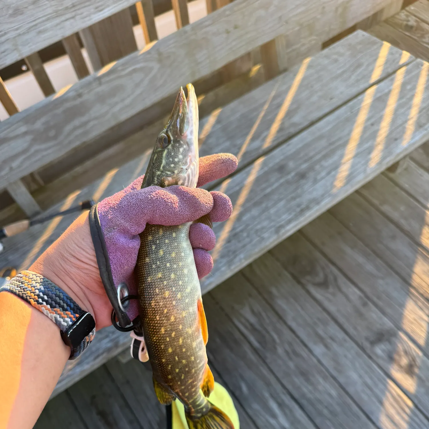 catch