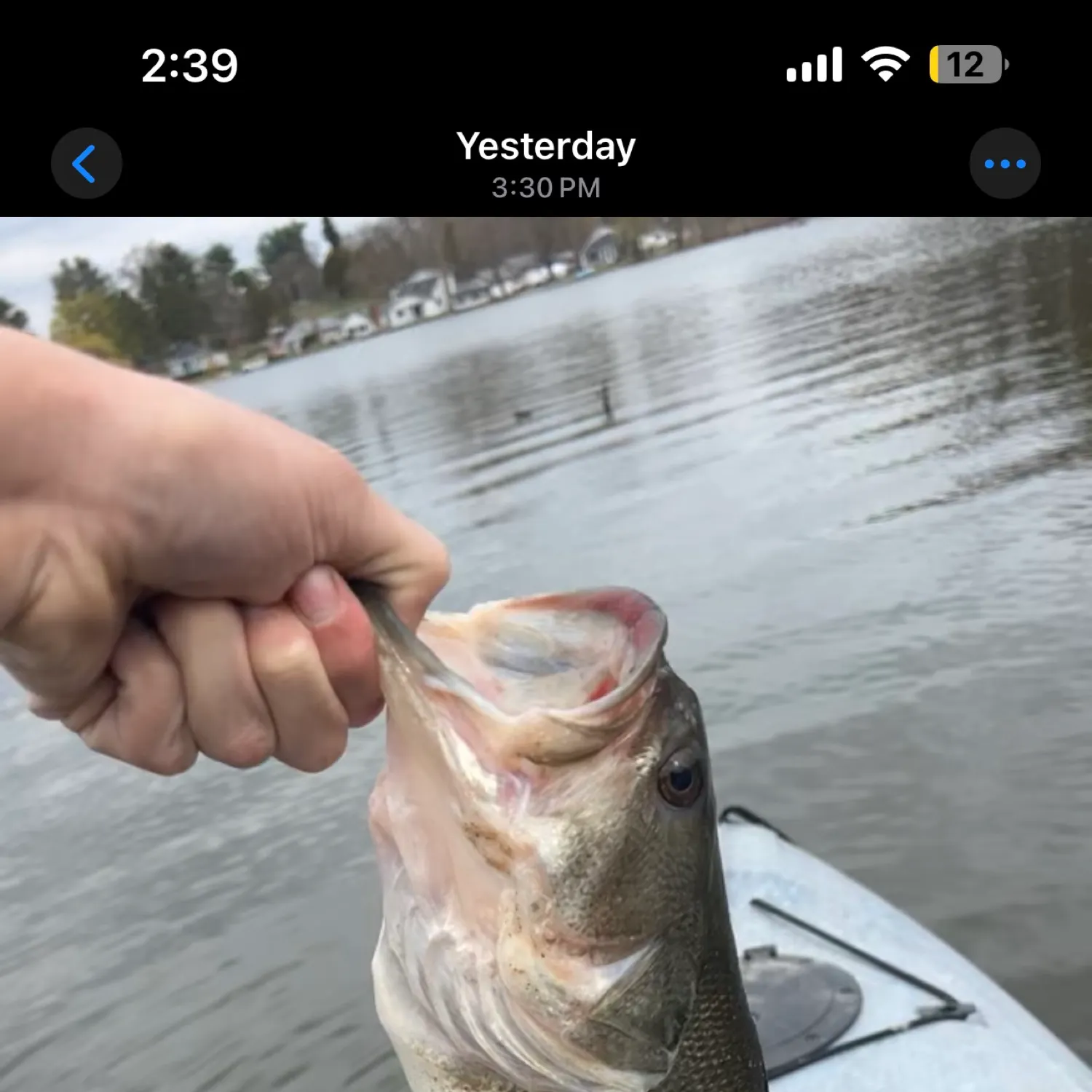 recently logged catches