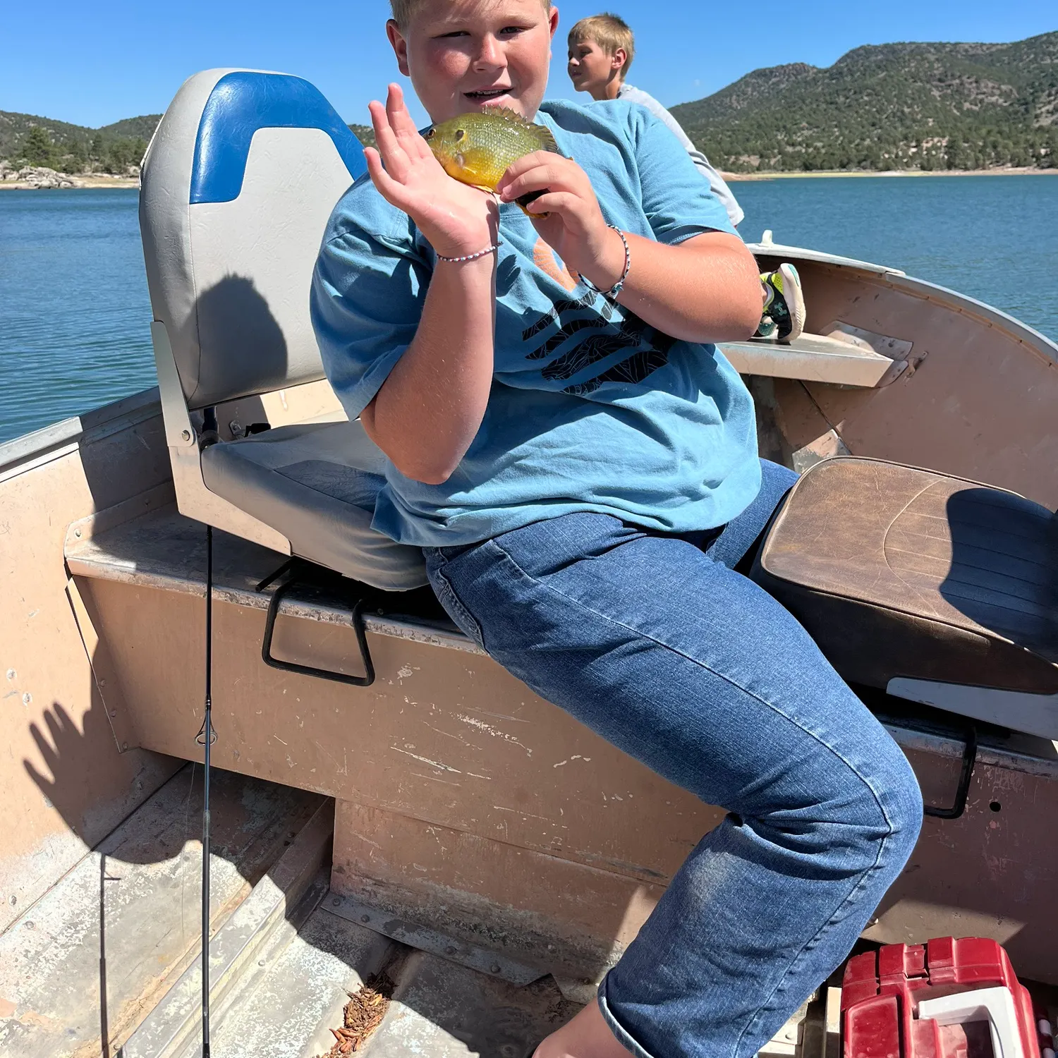 The most recent Common thresher catches on Fishbrain