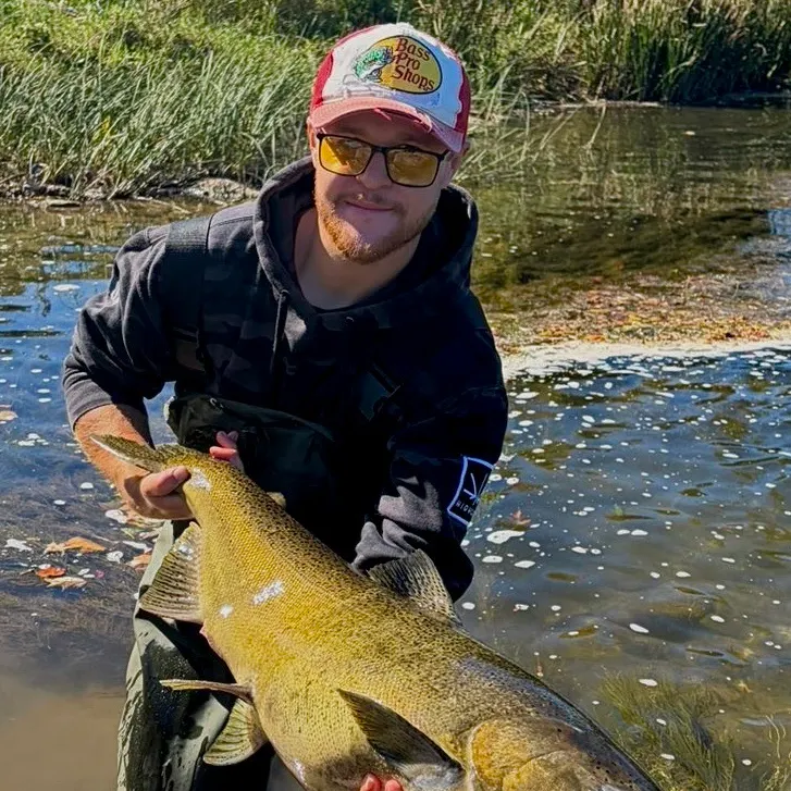 Chinook salmon caught on Fishbrain
