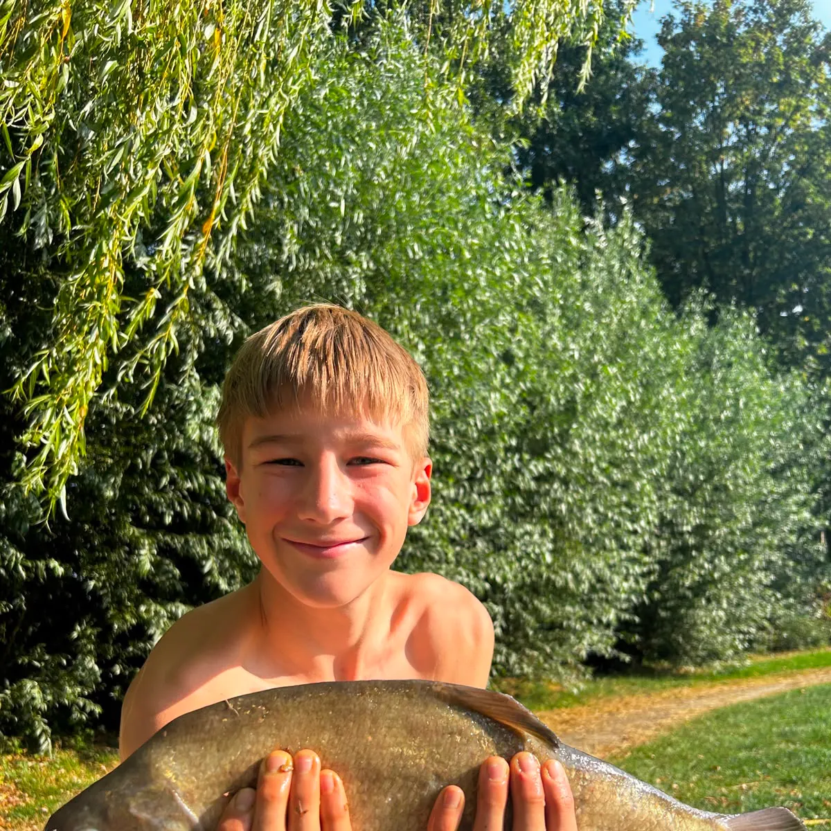 Common bream caught on Fishbrain