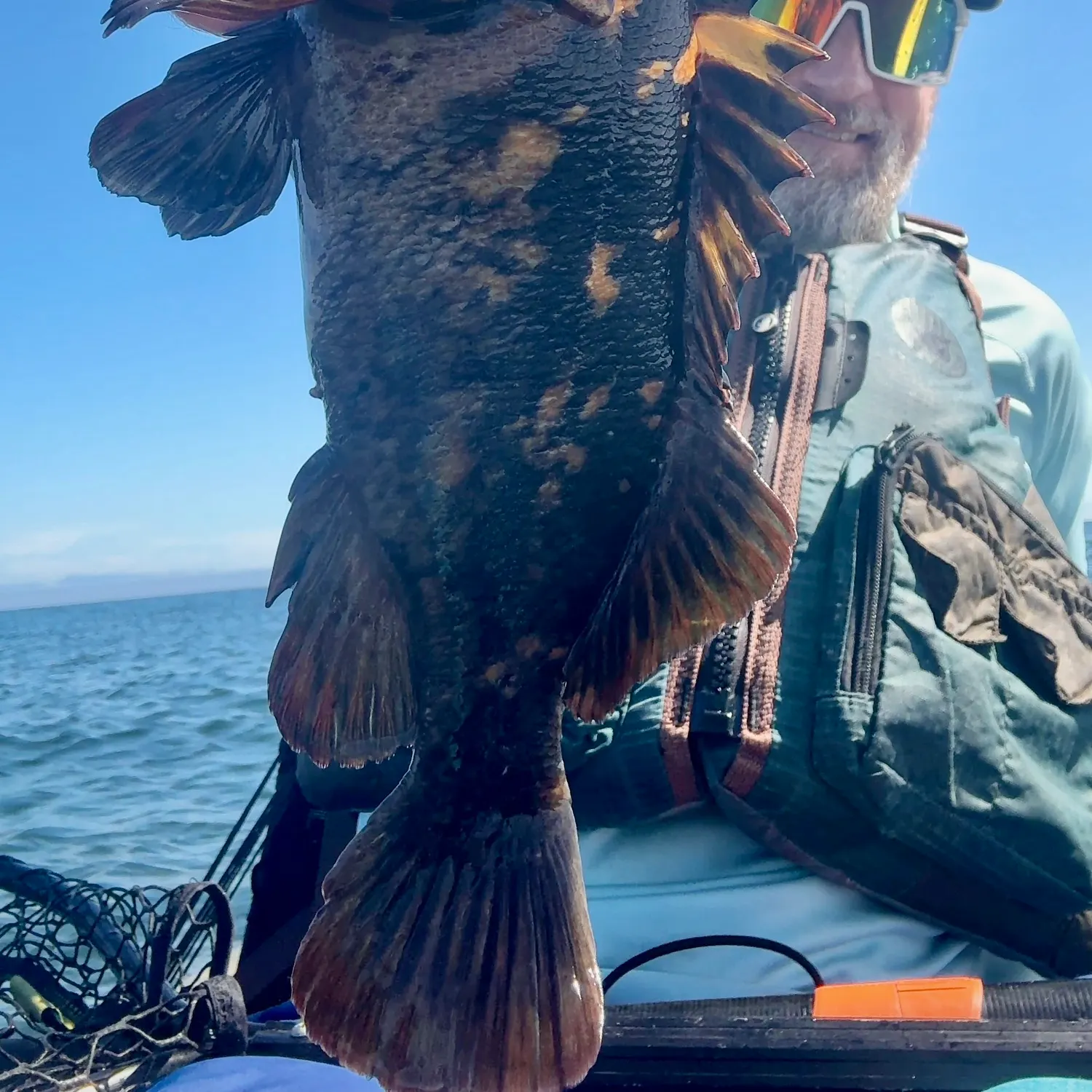 The most recent Black and yellow rockfish catches on Fishbrain