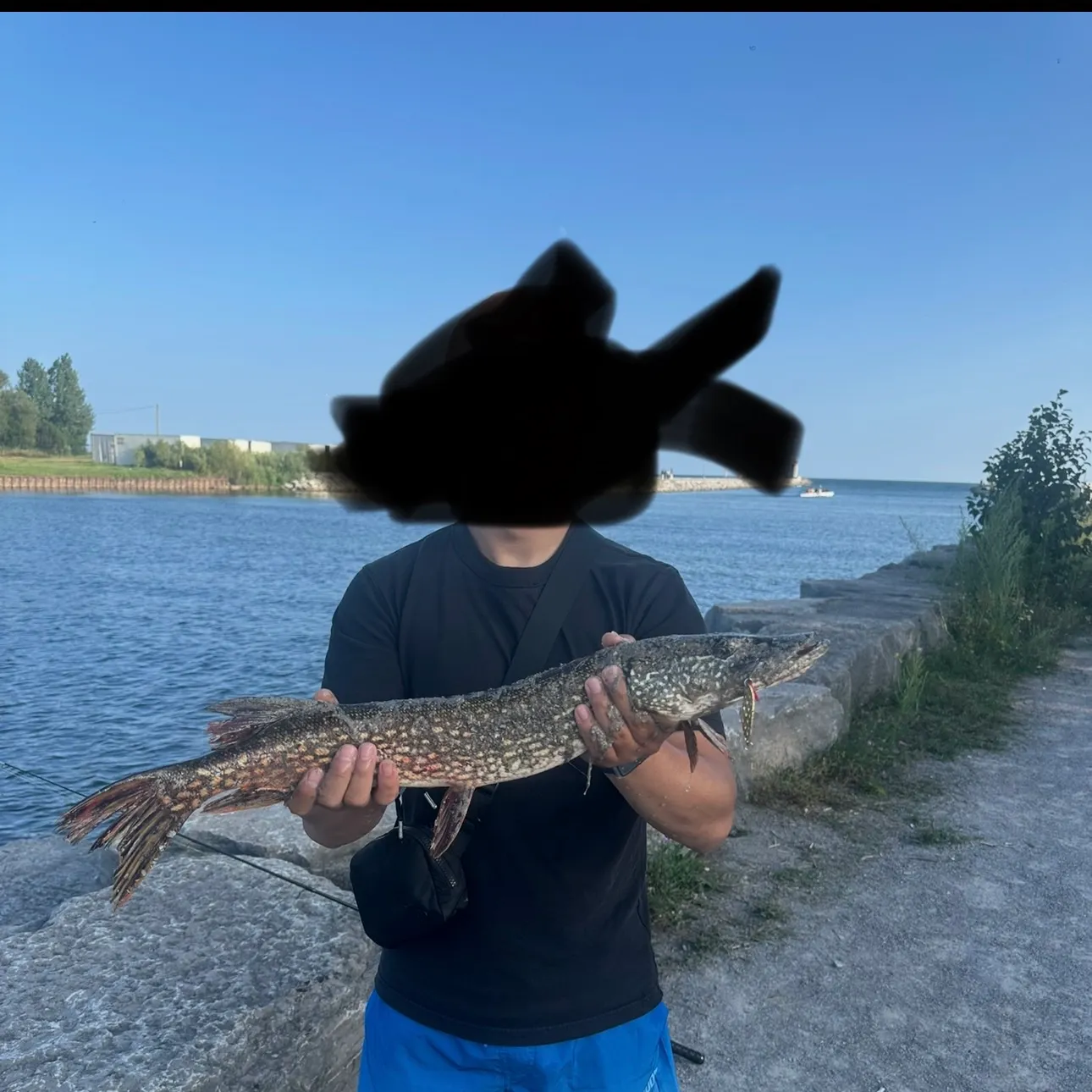 Northern pike caught on Fishbrain