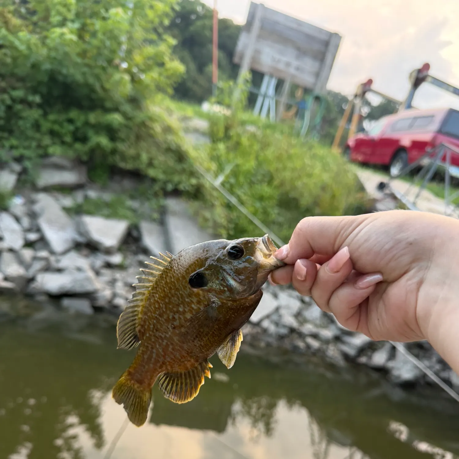 catch