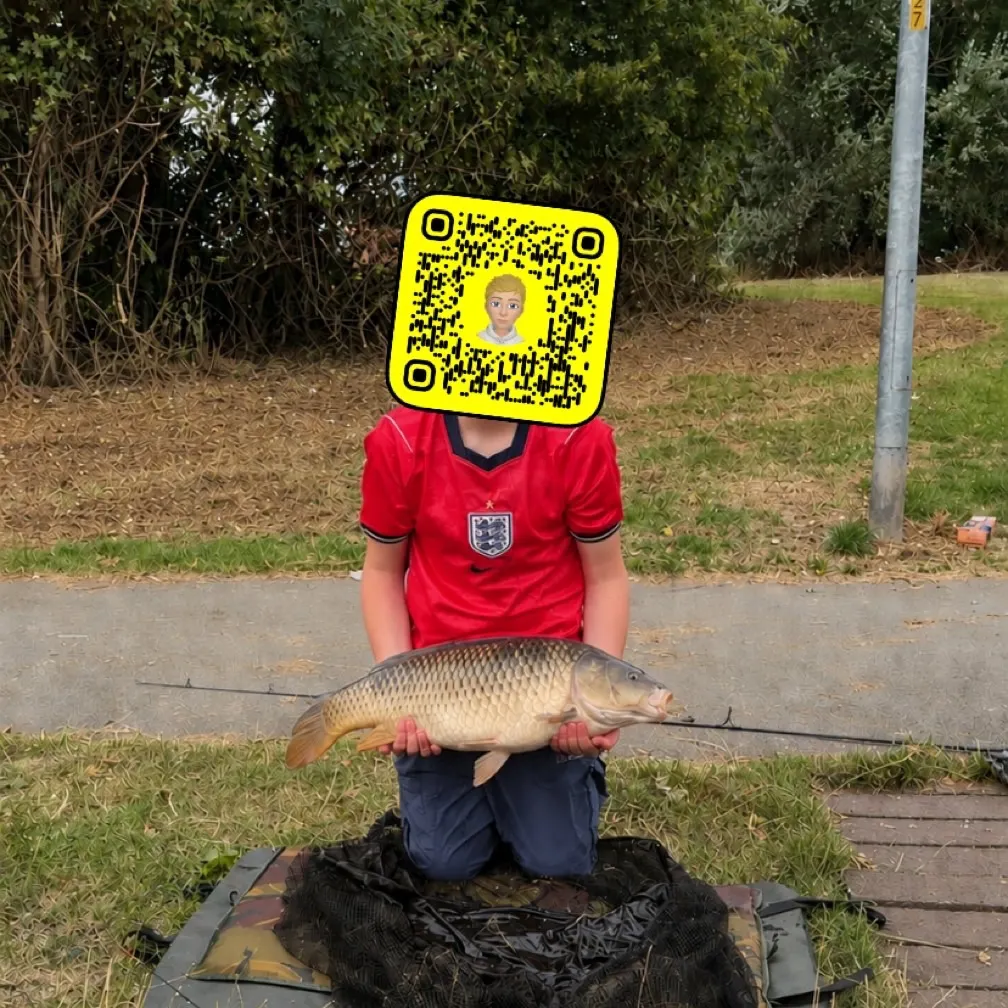 Common carp caught on Fishbrain