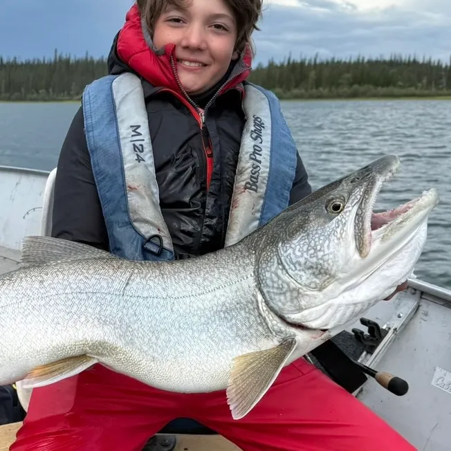 The most recent Lake char catches on Fishbrain