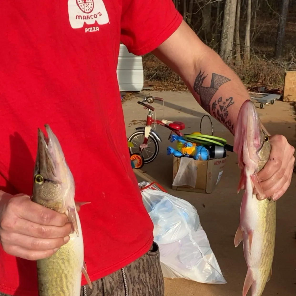 recently logged catches