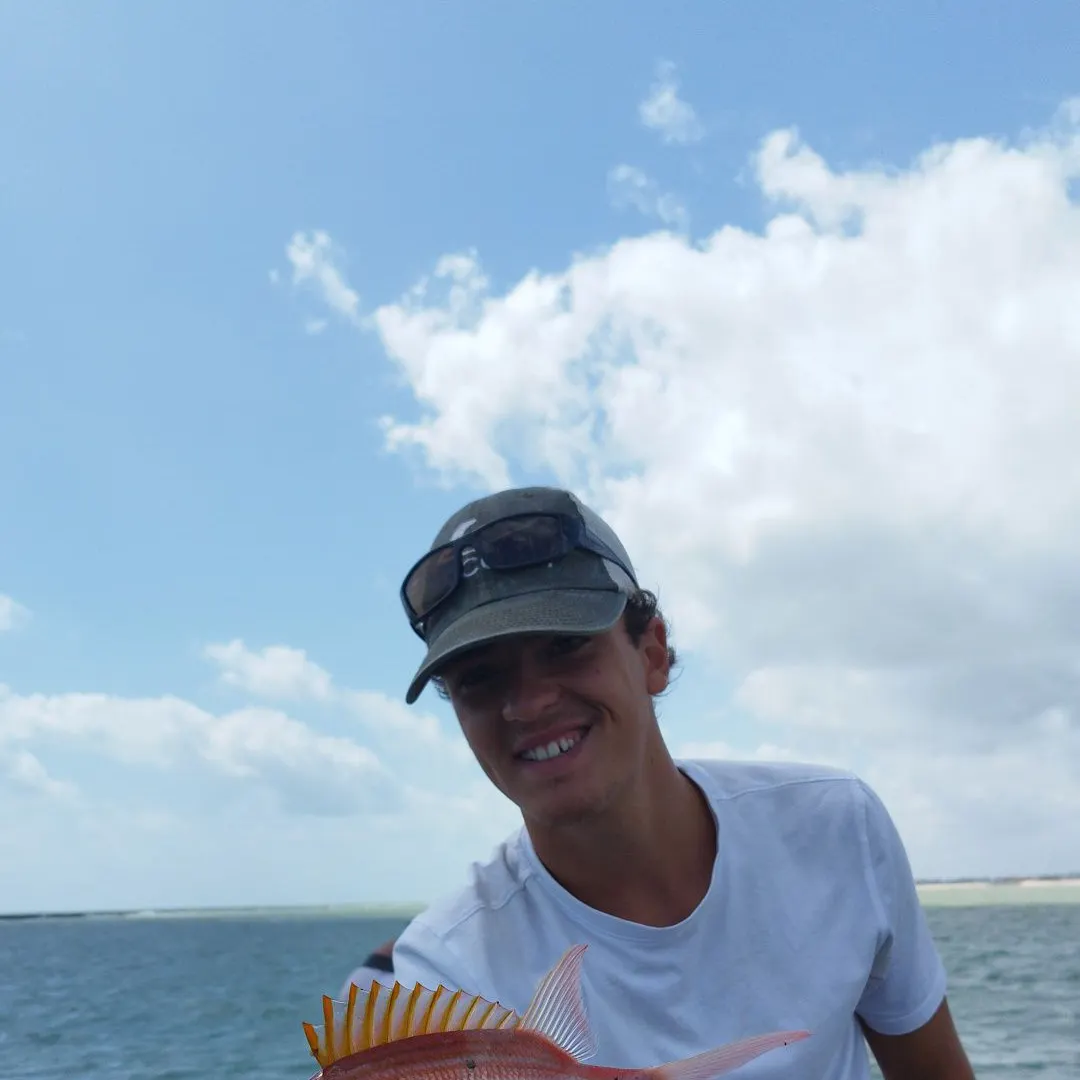 The most recent Common squirrelfish catches on Fishbrain