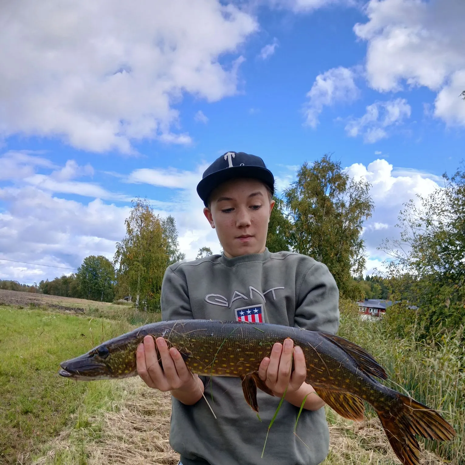 Northern pike caught on Fishbrain