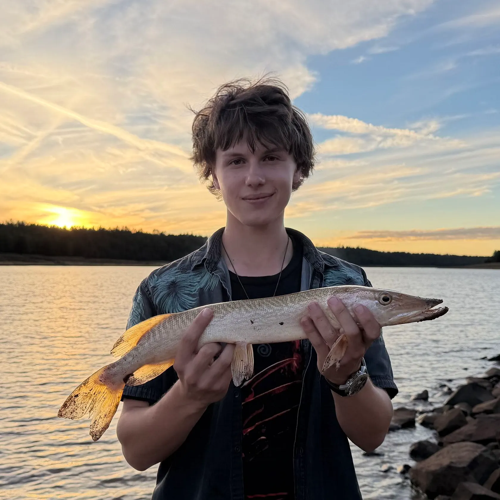 Northern pike caught on Fishbrain