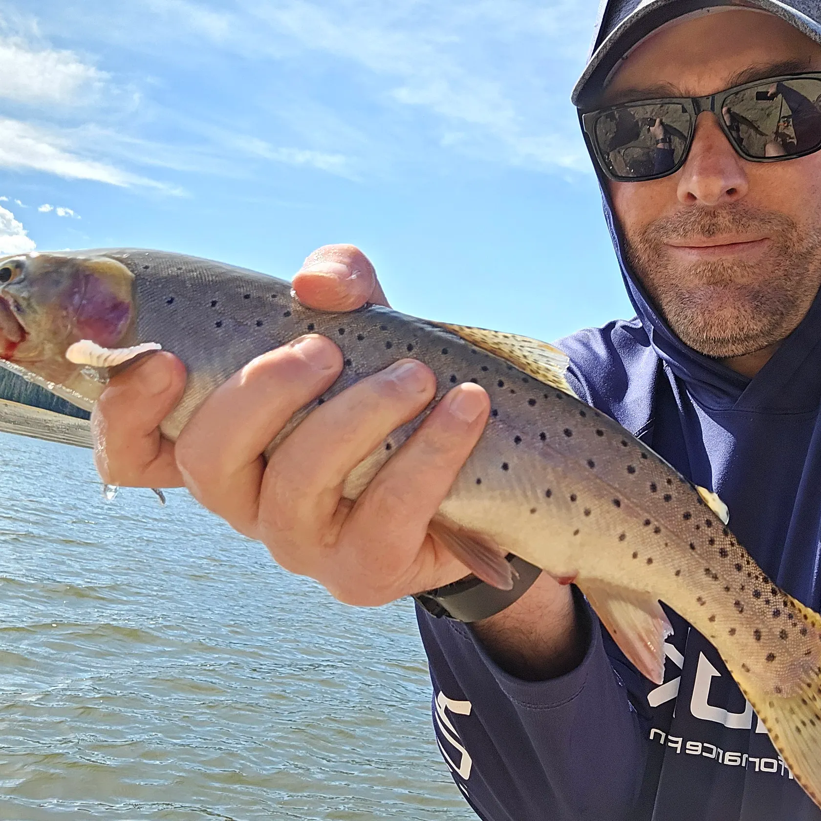 Cutthroat trout caught on Fishbrain