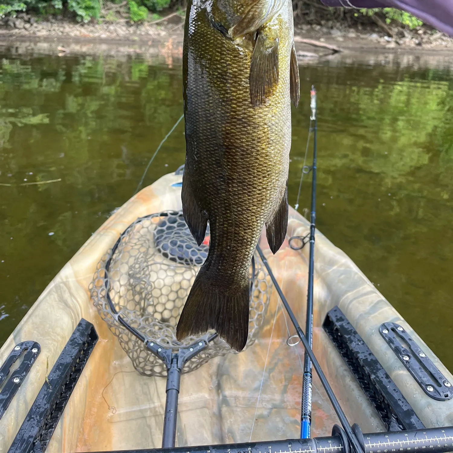 angler catch