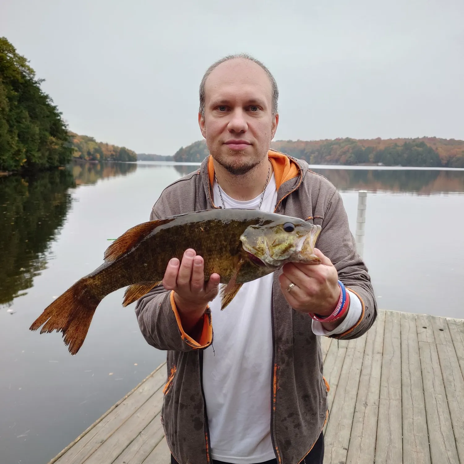 Smallmouth bass caught on Fishbrain