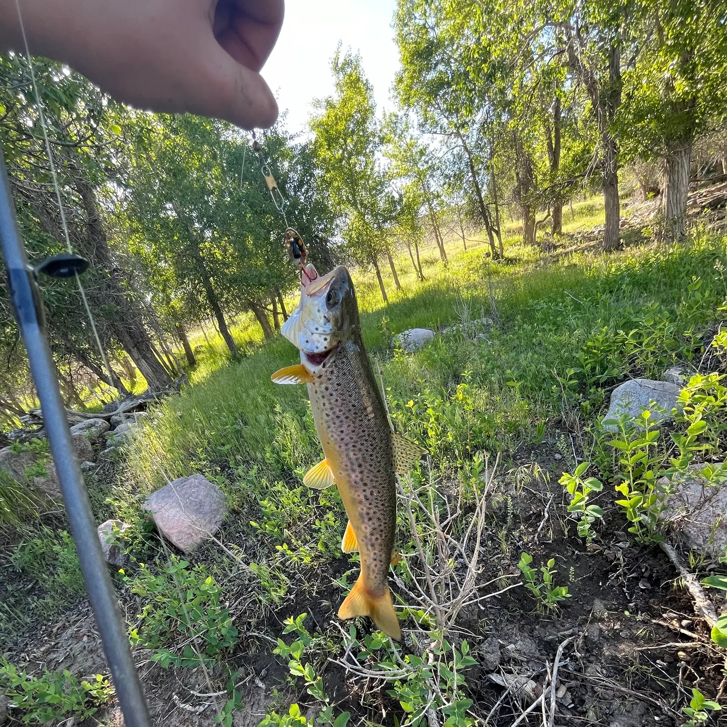catch
