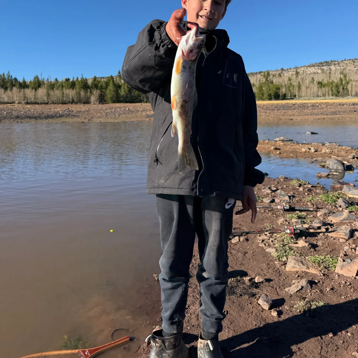 Rainbow trout caught on Fishbrain