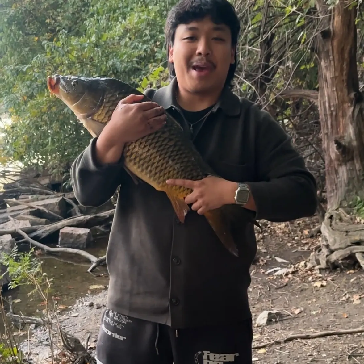 Common carp caught on Fishbrain