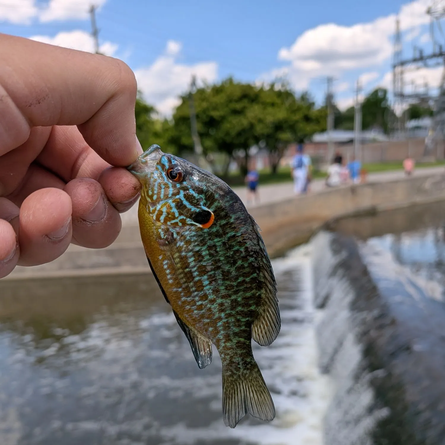 catch