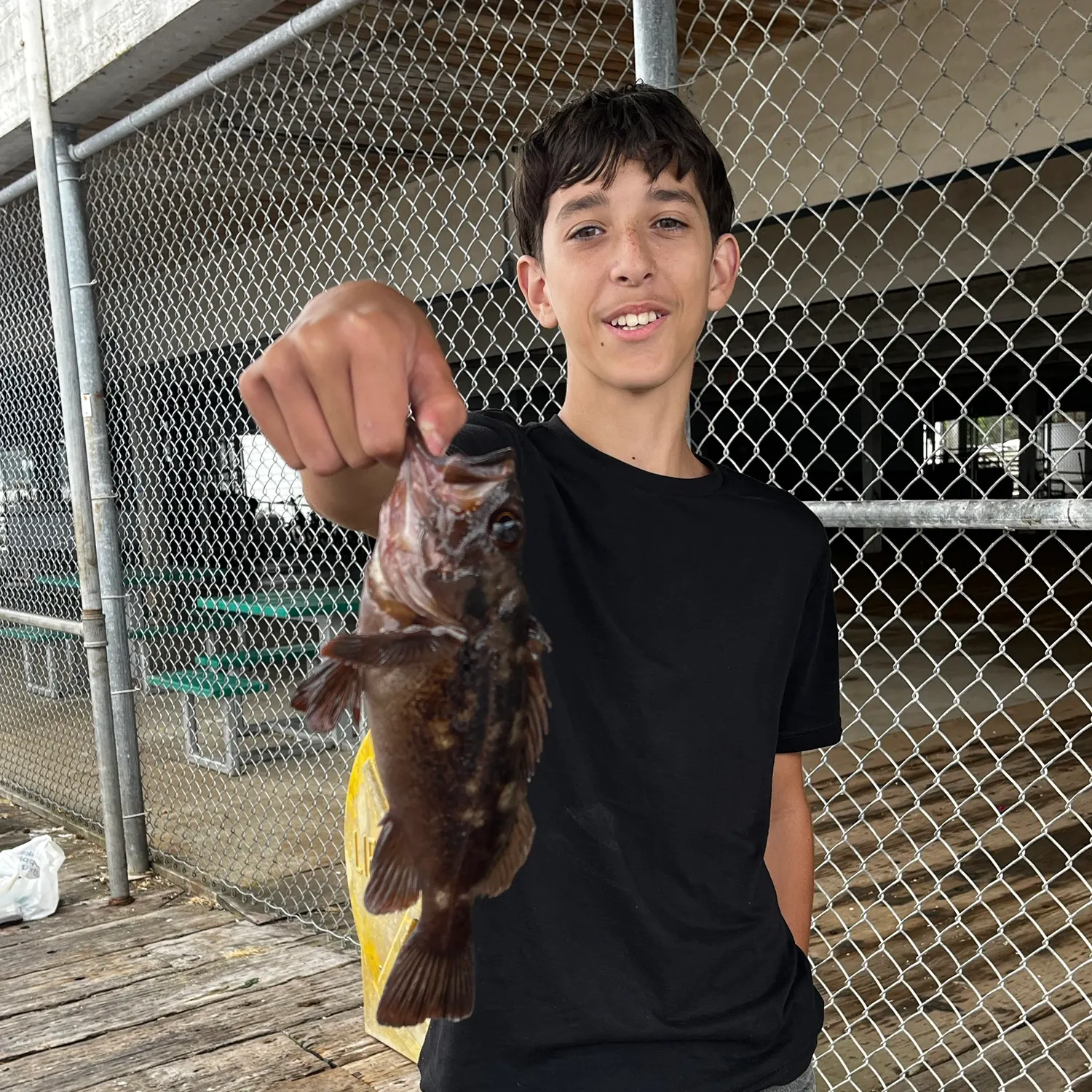 Copper rockfish caught on Fishbrain