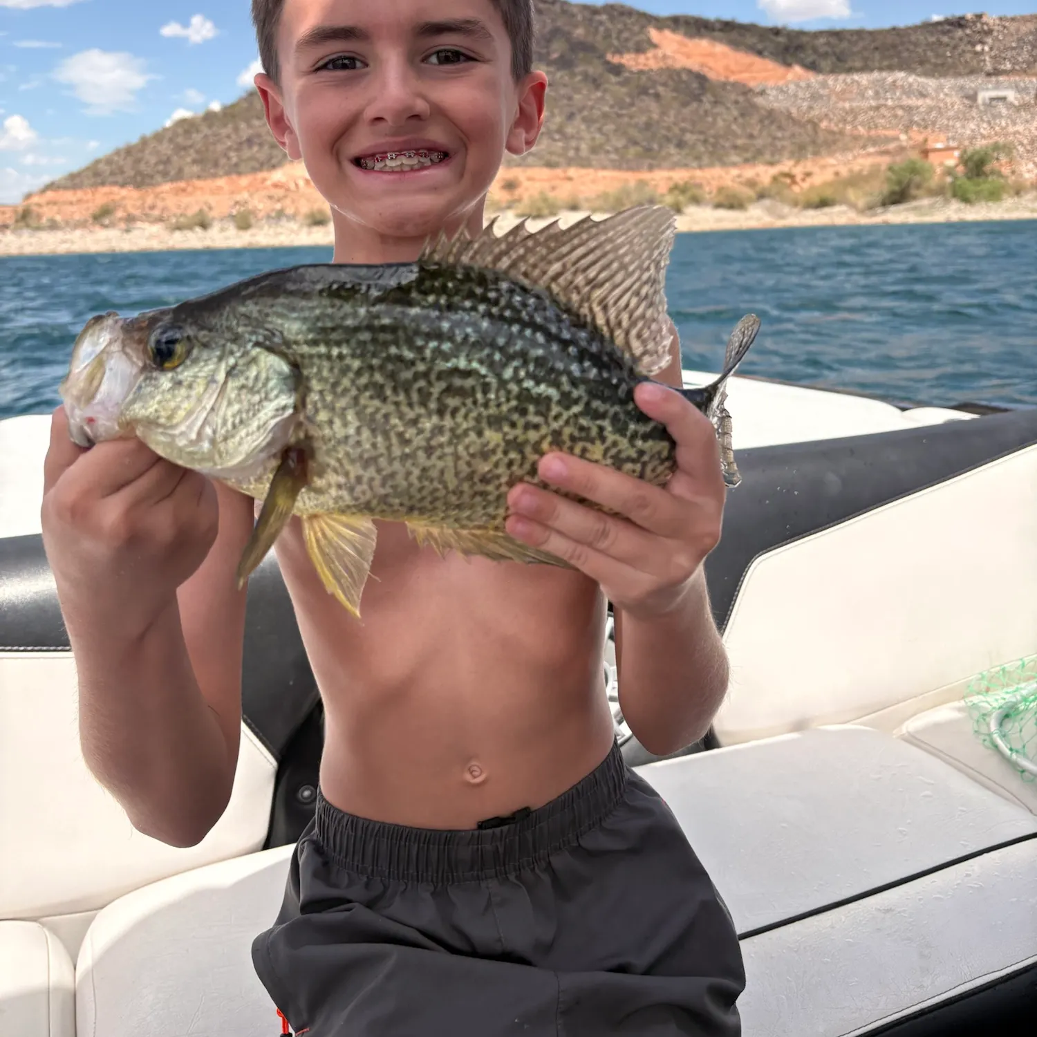 Black crappie caught on Fishbrain